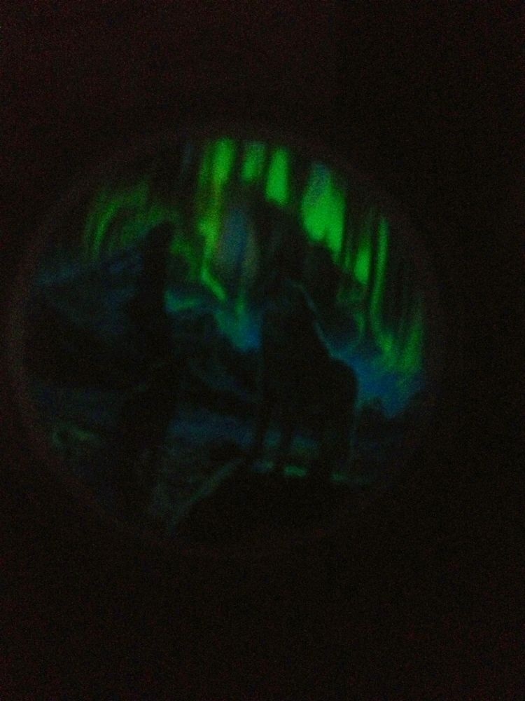 Northern-Lights-In-The-Mountain-Gitd-2-Oz-Wolf-Coin-Sold-Out